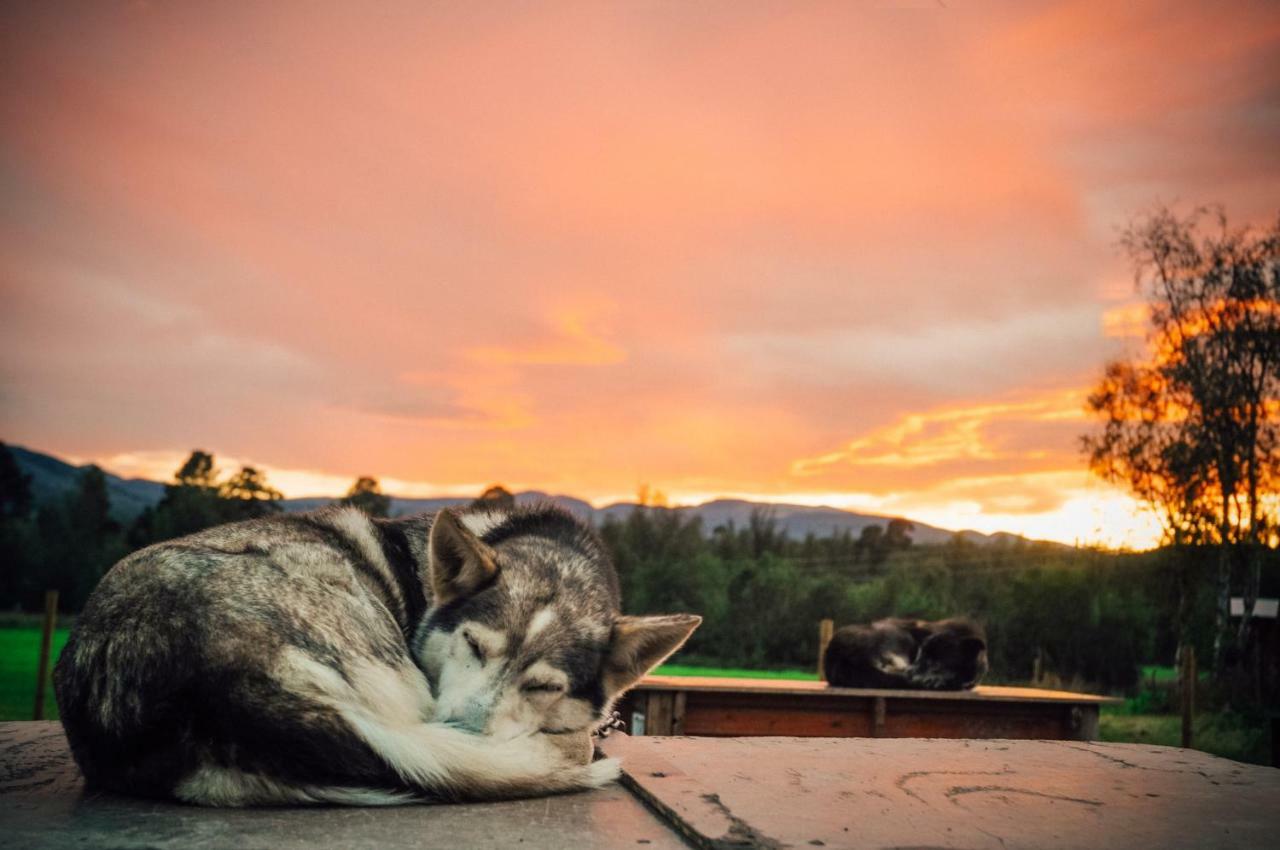 Деревянный коттедж Holmen Husky